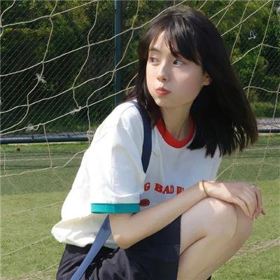 追鹰日记
